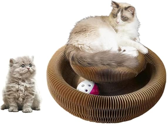 Enkman Kitty kurlz Magic Organ Cat Scratcher Board Cat Ball Adventure The Ultimate Interactive Mental Physical Exercise for Indoor Cats Toy