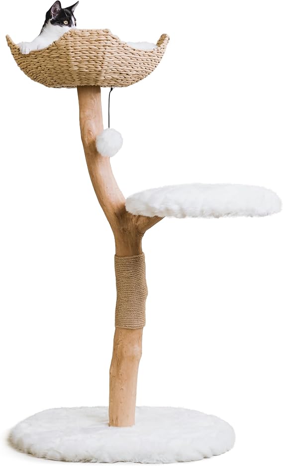 Mau - Modern Wood Cat Tree Tower with Scratching Post, Aesthetic Cat Condo | Replaceable Parts, Hand-Woven Basket Bed, Holds Cats up to 15lb, Natural Branch, Compact for Small Spaces, Cat Lover Gift