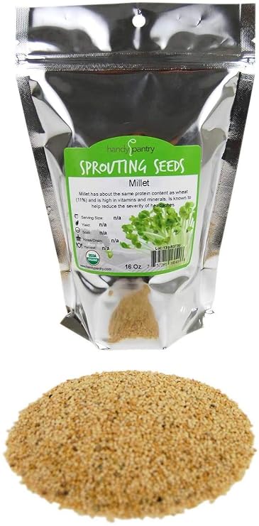 Handy Pantry Organic Whole Hull Intact Millet Seeds 1 Lb Non-GMO Animal