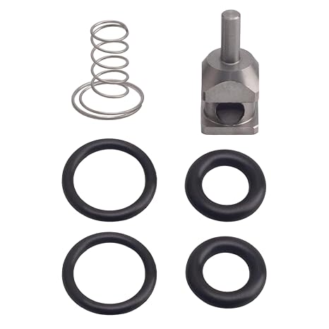 Fuel Check Valve Rebuild Kit for Harley-Davidson EFI Systems 20002022