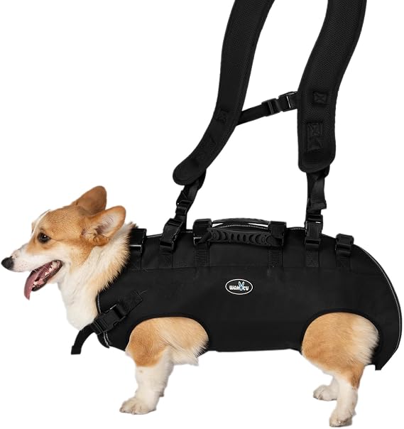 Dog Lift Harness, Pet Support & Rehabilitation Sling Lift Adjustable Padded Breathable Straps Dog Lift Harness for Dogs, Disabled, Joint Injuries, Arthritis, Loss of Stability Dogs Walk(16.5-33LBS) | Disabled, Joint Injuries, Arthritis, Loss of Stability Dogs Walk(16.5-33LBS)