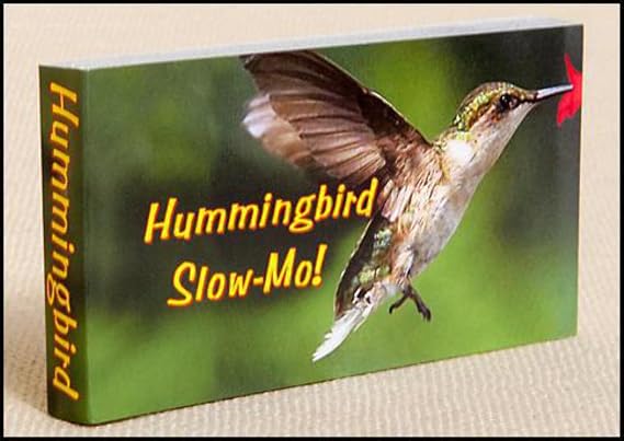 Fliptomania Hummingbird Flipbook Nature Flip Book for Kids & Adults, Mini Animation