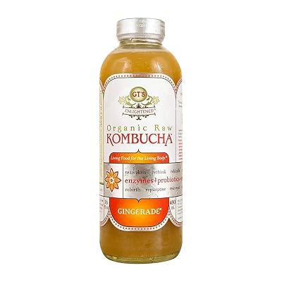 GTS LIVING FOODS Organic Gingerade Enlightened Kombucha 12pk, 16 FZ