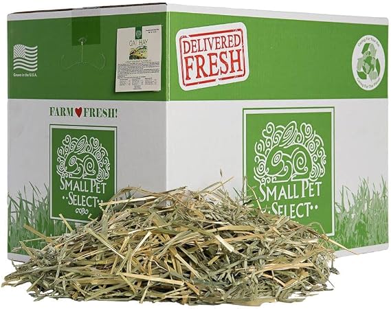 Small Pet Select – Oat Hay Pet Food, 20lb (9.07kg) Box | High-Fiber, Aromatic Hay for Rabbits, Guinea Pigs & Small Pets | Easy-to-Store Packaging