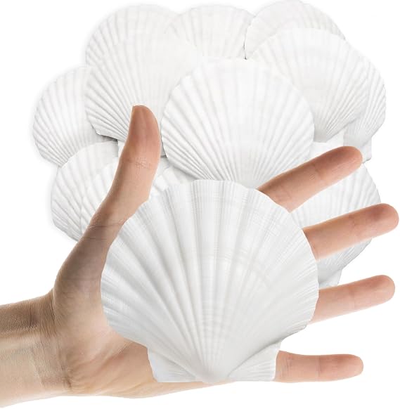 Lanwexy 25PCS Sea Shells Scallop Shells Natural White Sea Shells for DIY Craft Crafting,Painting,Baking,Home Decor and Beaching Wedding Decoration (6-8CM) Seashells Bulk