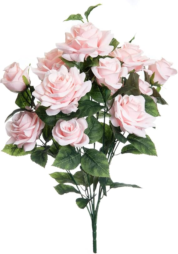 Ashland Pink Rose Bush