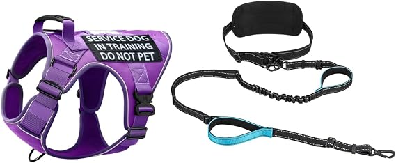 Purple Service Dog Harness with Black Hands-Free Leash for Medium Dogs