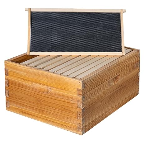 Honey Lake 10 Frame Langstroth Deep Brood Bee Hive Box Dipped in Beeswax, Includes Beehive Frames and Waxed Foundations (Unassembled)