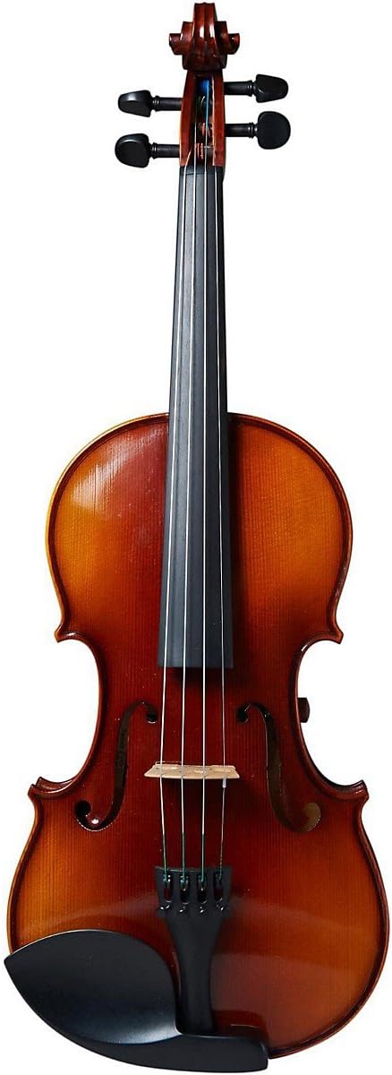 Realist, 4-String Violin RV4E