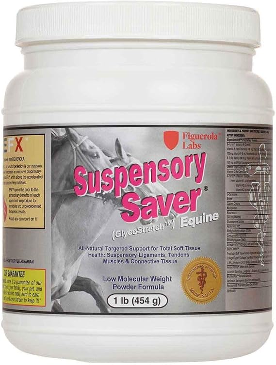 Figuerola SuspensorySaver 1 lb