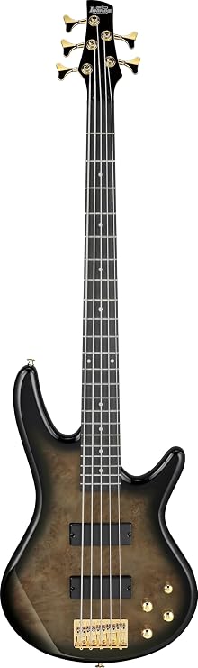 Ibanez Gio GSR205PC 5-string Bass Guitar - Transparent Pale Black Burst