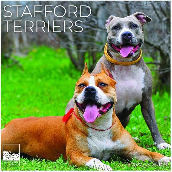 2026 Wall Calendar 12 Month | 12" x 24" Open | Dog Photography Thick & Sturdy Paper for Organizing & Planning | Office Kitchen Decor or Gift | Pacific Waters Press (American Stafford Terriers 2027)