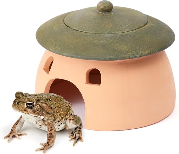 Terracotta Reptile Cave with Green Lid - 8 * 6 Inches Hiding Place for Toad, Frog, Turtle, Lizard