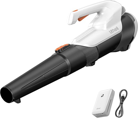 Litheli 20V Cordless Leaf Blower Battery Powered, 2.0 Ah Battery Lightweight 2 Speed Mode Electric Blowers for Lawn Care, Patio, Snow, Dust, Blowing Leaves (No Charger