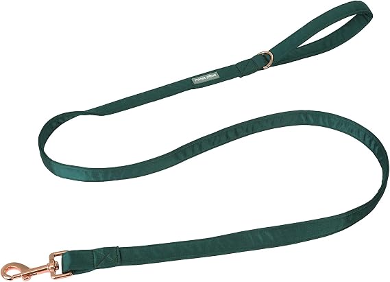 Lionet Paws Dog Leash - Silk Black Green Leash for Small Medium Large Dogs Matching Collar for Girl and Boy