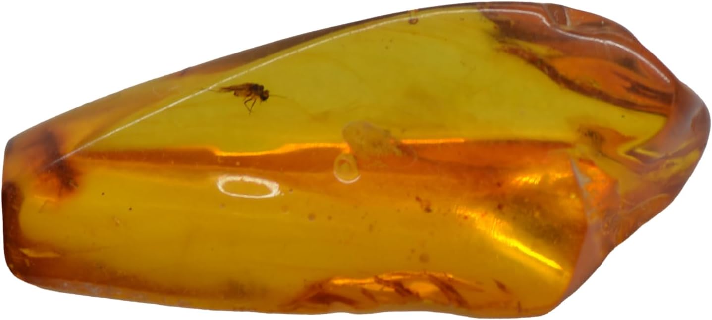Baltic Amber fossil with a Fly Insect - Natural stones - 2.3g