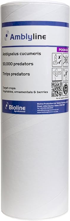 Amblyline CU (Amblyseius cucumeris) Organic Thrips Pest Control 50,000 Mites