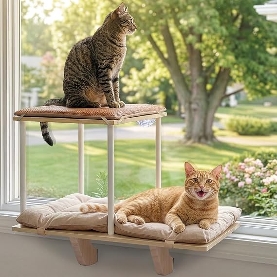 PETSFIT Cat Window Perch, Dual-Level, Suction Cups & Wood Base, Large Cats | Supports Multi-Cat Families, Reversible Washable Cushion, Tool-Free Installation, Sturdy for Cats up to 45 lbs, Easy to Clean