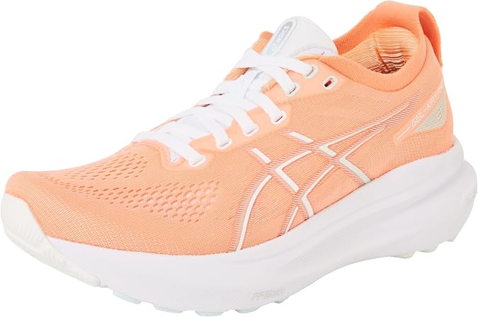 Asics Gel-Kayano 31 Men's Shoes