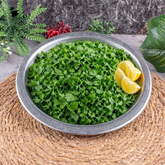 DMTCOPPER 20 cm 9 ADET Servis Sunum Tepsisi, 430 Kalite Krom Çelik, Fırına Uygun, Kararma Yapmaz, Meze Kebap Sunumu, 9 Adet