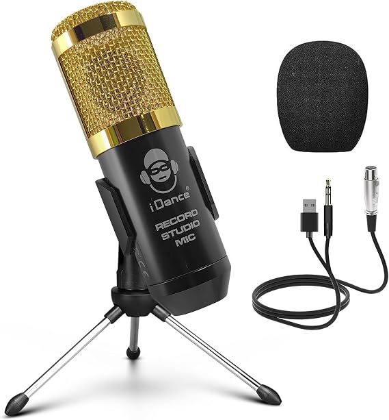 IDANCE Vocal Condenser Microphone USB Studio Condenser Mic with Volume & Echo Controls, Tripod Stand, Windscreen & 3.5mm Output Microphone Studio Kit for Streaming, Gaming, Podcasting & Recording