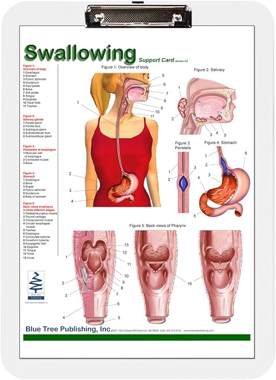Blue Tree Publishing Swallowing anatomy education (A4 & clipboard)