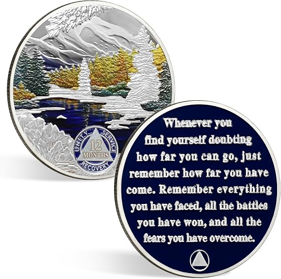CHURYUML 1 Year Sobriety Coin Gift Set, One Year AA Recovery Medallion