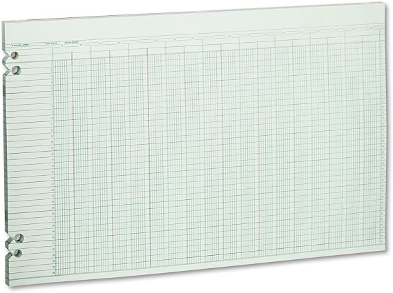 Wilson Jones G5030 Accounting Sheets, 30 Columns, 11 x 17, Green (Pack of 100 Loose Sheets)