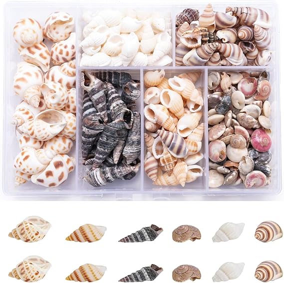 Small Sea Shells,100 PCS Mixed Sea Shells Mini Mixed Sea Shells Decorative Sea Shells Crafts Sea Shells Ocean Theme Shells Beach Seashells for DIY Craft Making Wedding Decorations