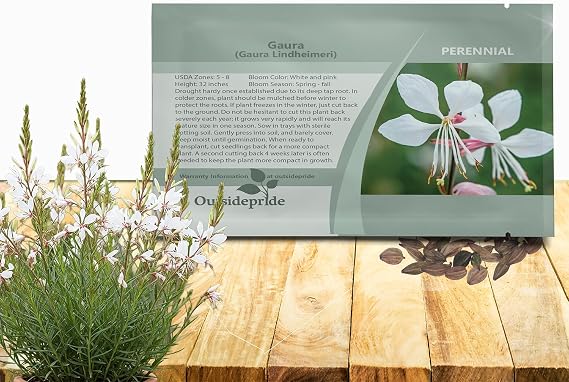 Outsidepride Gaura Seeds - 200 Pcs. Perennial, Drought Tolerant & Low Maintenance, Flower Seeds for Planting Easy to Grow, Vibrant & Tall White-Pink Blooms for Xeriscaping & Pollinator Gardens