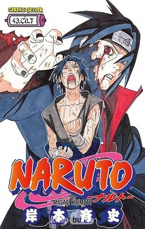 Naruto Volume 43 (Cover may vary)