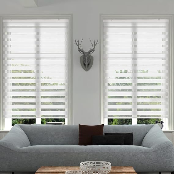 Zebra Roller Shades, Zebra Blinds for Windows, Dual Layer, Sheer Privacy or Light Filtering for Day and Night, Roll Up and Down, Window Blinds for Home, Office, Kitchen, 45" W X 64" H, White
