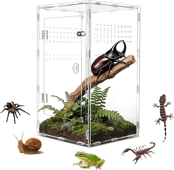 Acrylic Jumping Spider Enclosure, Transparent Reptile Terrarium Enclosure, Small Reptiles Habitat Tank Breeding Box for Tarantula Insect Snake Lizard (13.78 Large)
