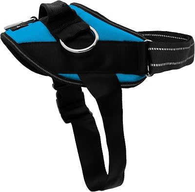 ShawnCo Essential Dog Harness, No-Pull Pet Vest with 3 Leash Clips, No Choke, Reflective, Adjustable and Padded, for Easy Walking and Training for Small, Medium and Large Dogs Oceanic Blue, S