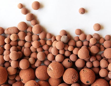 Hydro Clay Pebbles (Leca) Orchid/Hydroponic Grow Media - 10 lbs. (More Than 10 Liters) by PowerGrow Systems