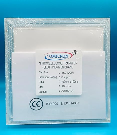 OMICRON 160100RI Nitrocellulose Transfer(Blotting Membrane), 100mmX100mm Sheets, 0.2 Micron (Pack of 10) (Cross Reference 10600080)