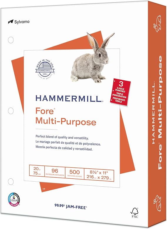 Hammermill Printer Paper, Fore Multipurpose 20 lb Copy Paper, 3 hole - 1 Ream (500 Sheets) - 96 Bright, Made in the USA