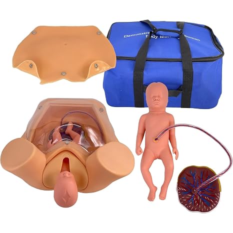 Child Birth Education Tools, Childbirth Demonstration Pelvis Model with 2 Fetus 2 Placenta 2 Umbilical Cord and Carrying Bag Midwifery Training Model Suitable for Training and Exercises (A)