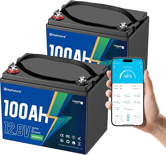 2 Pack 12V 100Ah Bluetooth LiFePO4 Battery, Deep Cycle Lithium Battery,15000 Charging Cycles, Lightweight Compact, Perfect for Rv, Trolling Motors, Yacht, Solar Systems