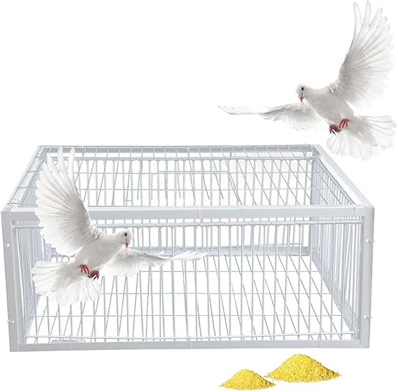 Bird Trap, Sparrow Trap, Live Traps For Pigeons, Pigeon Traps With Four Channel One Way Entrance, Bird Catcher Trap With Anti-escape Design, Suitable For Terraces, Gardens And Farms(White,90x60