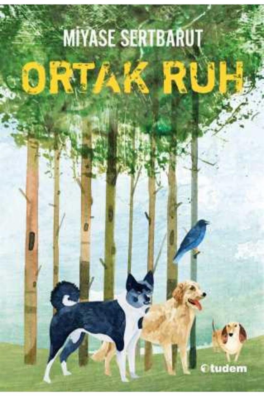 Ortak Ruh Kağıt Kapak – 1 Eylül 2018