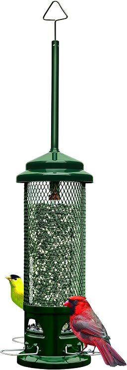 Squirrel Buster Legacy Squirrel-Proof Bird Feeder for Wild Birds 4 Metal Removable Perches, 2.6 lb Seed Capacity, Chew-Proof Design, Easy to Clean, Green