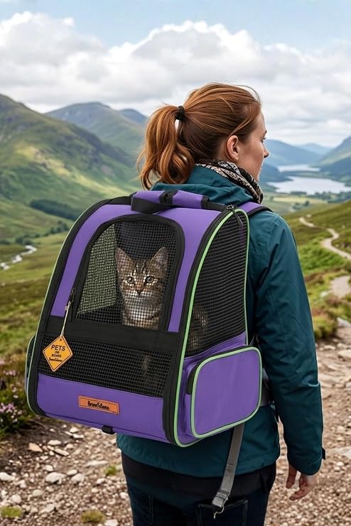 Reyo Brave Paws Plastik Fileli Piramit Model Yıkanabilir Kedi ve Köpek Taşıma Çantası Mor