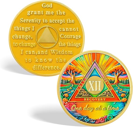CHURYUML 12 Year Sobriety Coin - One Day at a Time Sober Chip, Affirmation AA Coins Recovery Medallions Alcoholics Anonymous Token Sobriety Gifts for Women & Men Celebrating Milestones in Sobriety