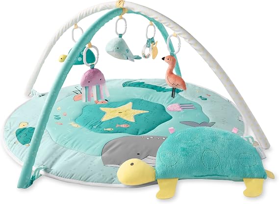 Simple Joys by Carter's Play Gym
