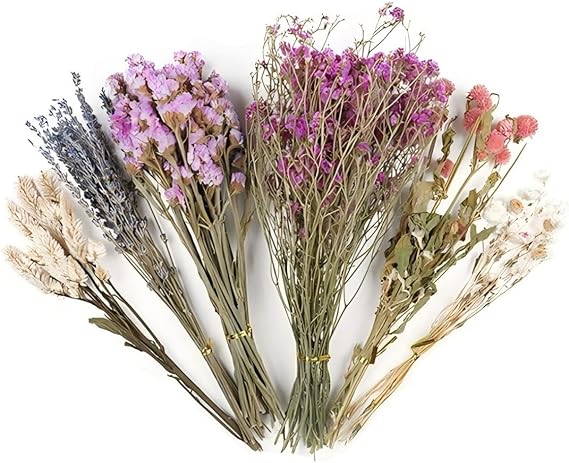 Flower Hamster Bedding for Mice Habitat Enclosure Decor Small Animal Natural Ear of Grain Flower Sprays for Gerbils (#2, One Size)