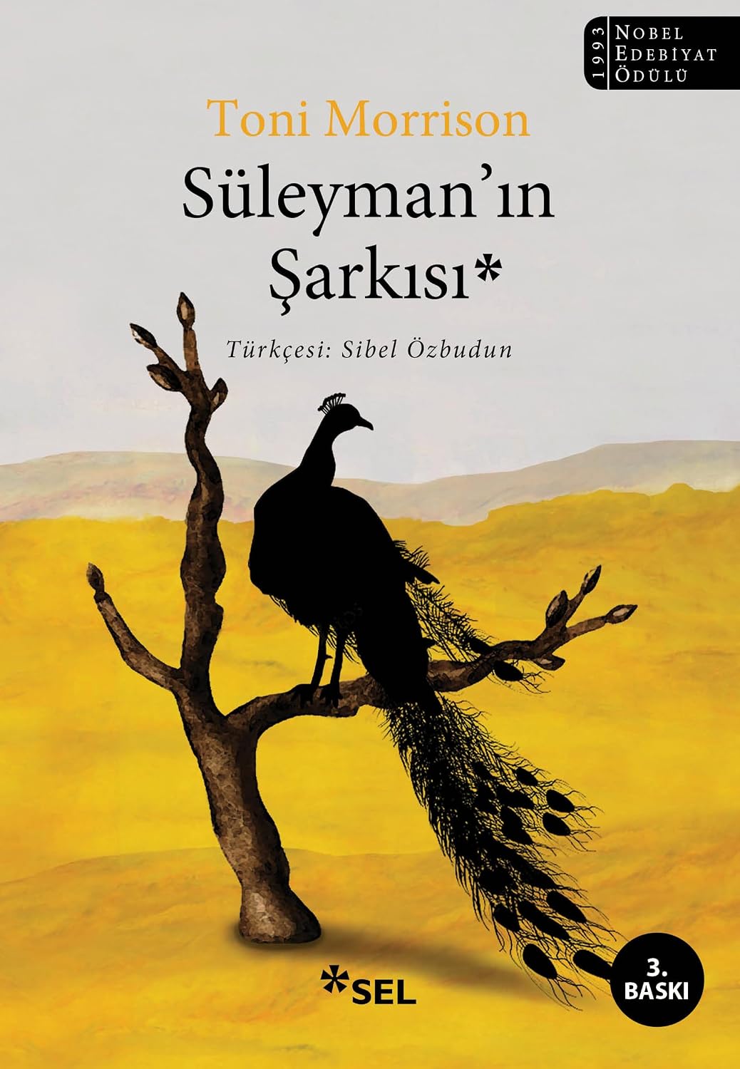 Süleyman’ın Şarkısı Kağıt Kapak – 1 Kasım 2018