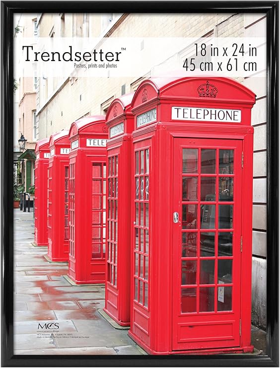 MCS Trendsetter Poster Frame, 18x24