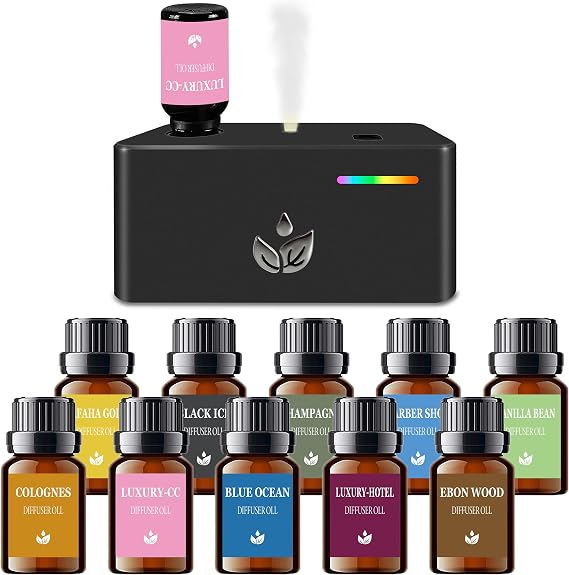 Waterless Essential Oil Diffuser with 10pcs Mixed Fragrance Oils, Automatic Scent Diffusers, Rechargeable Air Aromatherapy Diffuser with 3 Spray Modes for Home Office Hotel