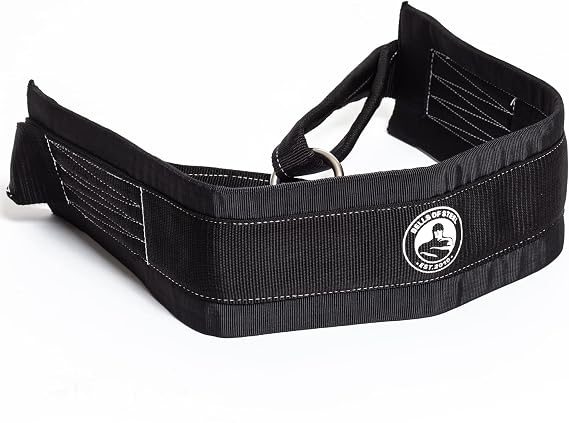 Belt Squat Belt [Bells of Steel] 5in Width for Weight Lifting, 12in Chain Length, Padded, Heavy Duty